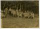 Sunday School picnic at Grace Lake Beach about 1919